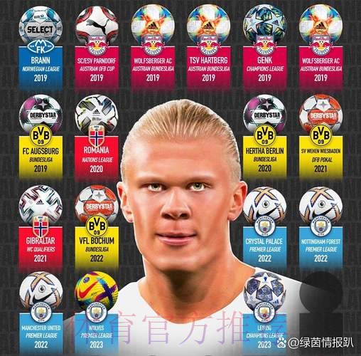 罗德里戈:希望哈兰德不要进球 没人知道如何阻止他